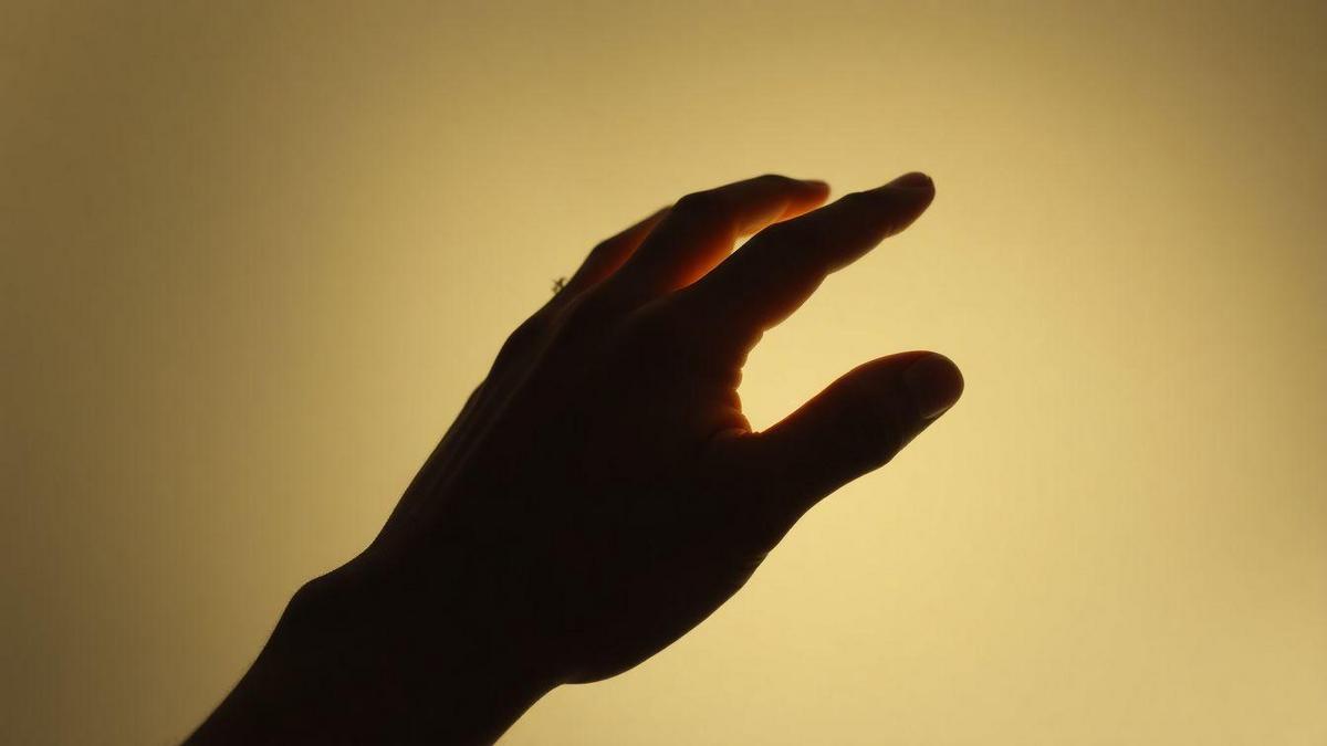 O Que é a Transformação Real?