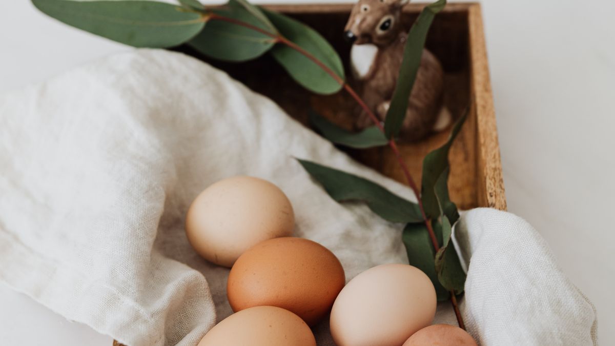 Alimentos ultraprocessados que são inimigos do emagrecimento feminino