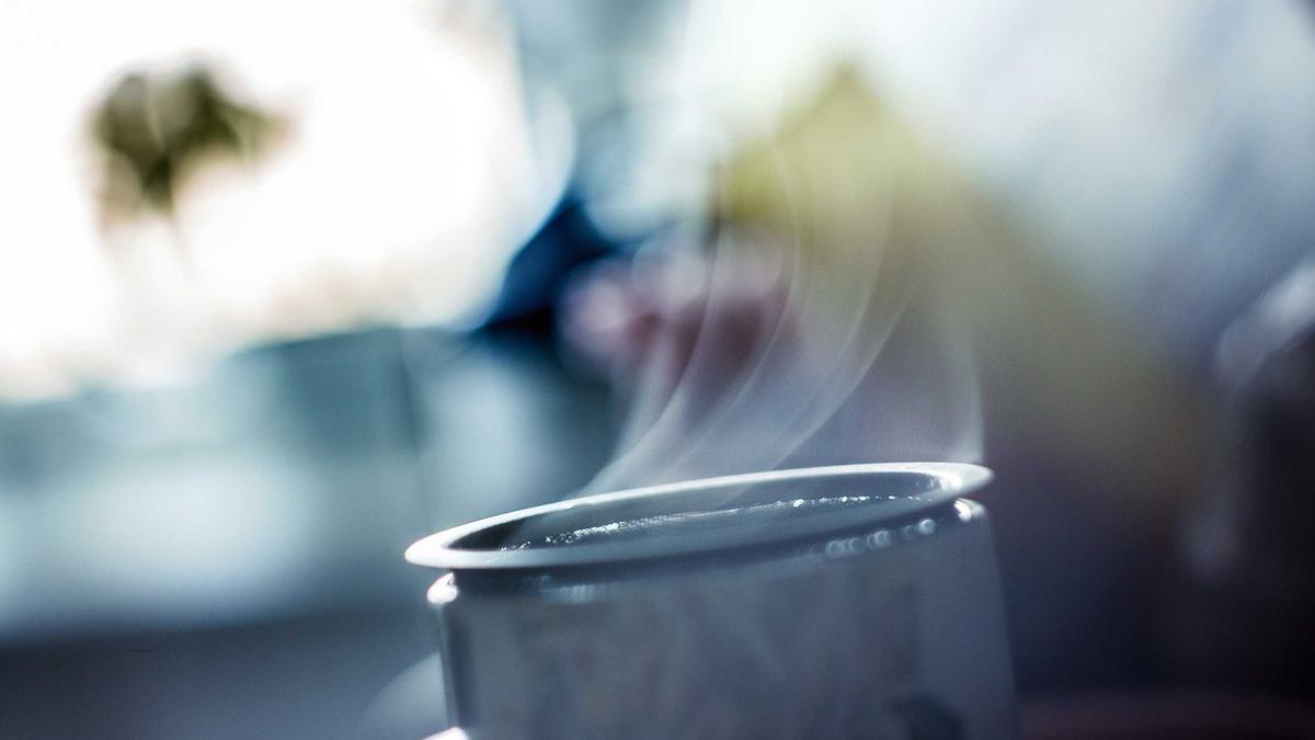 bactérias que influenciam a fome - microbioma intestinal com trilhões de microrganismos