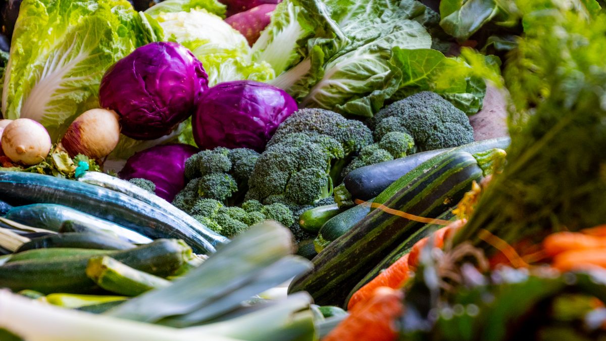 Alimentos ricos em prebióticos e fibras para recuperar o intestino