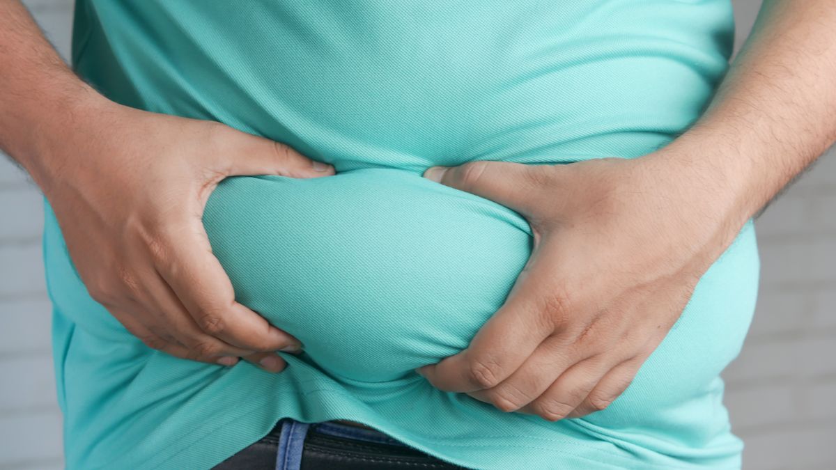 resistência à insulina e gordura abdominal - motivo que a ciência descobriu para o corpo não emagrecer